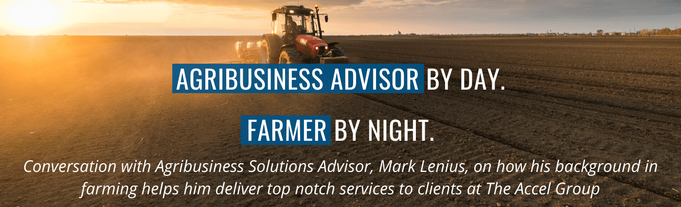 Blog Post - Ag.Mark (Cover Photo)