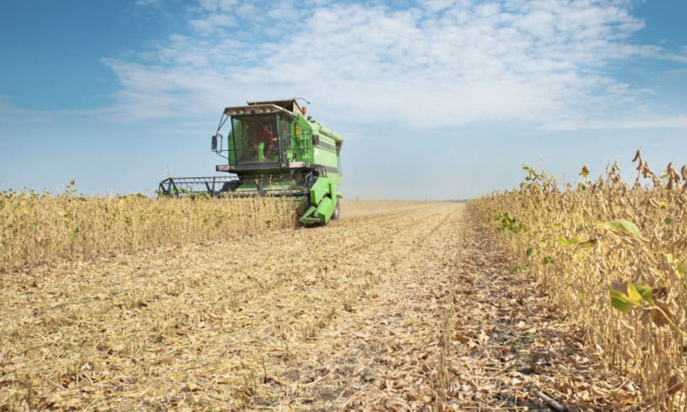 Blog - Enhanced Coverage Option ECO